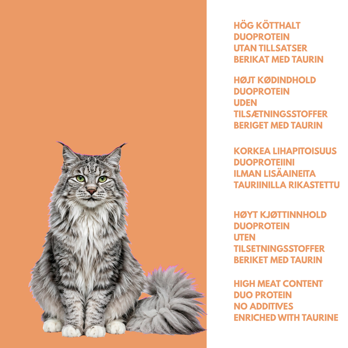Kanin- og kyllingmåltid for katter – smakfullt våtfôr til katter
