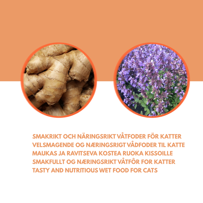 Kanin- og kyllingmåltid for katter – smakfullt våtfôr til katter
