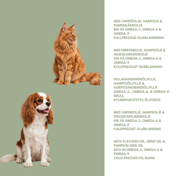 Fart-stop oil – For your four-legged friend's digestion