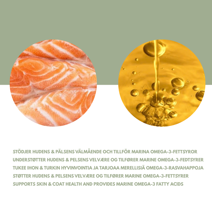 Salmon oil - For dogs and cats