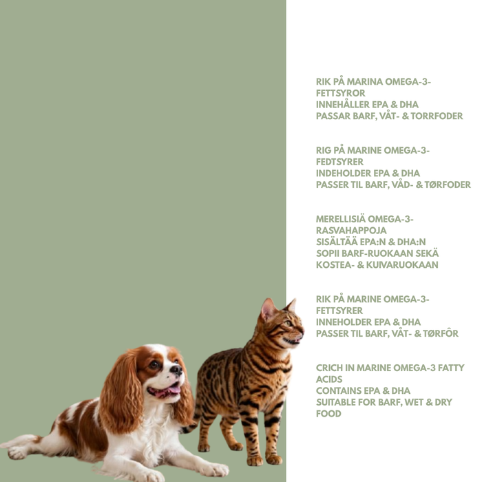 Salmon oil - For dogs and cats