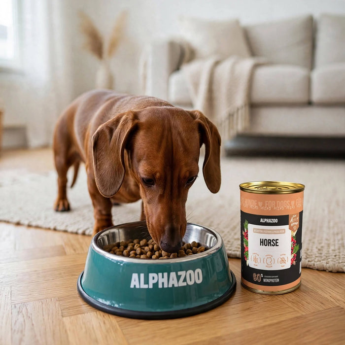 Horse Feast – Delicate wet food for dogs
